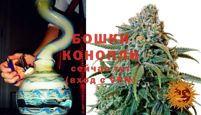 продажа наркотиков  мега   Бошки марихуана OG Kush  Богданович 